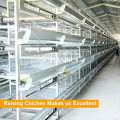 Cage de poulet de bonne conception de Tianrui pour la ferme de volaille